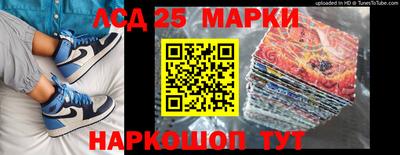гидра Новозыбков