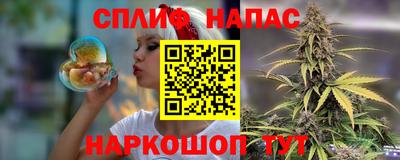 гидра Новозыбков