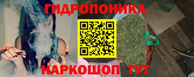 гидра Новозыбков