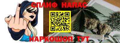 гидра Новозыбков