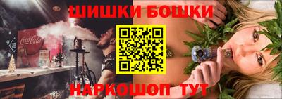гидра Новозыбков