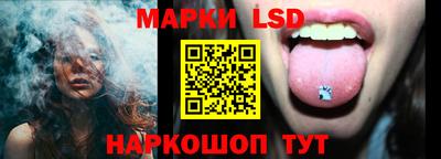 гидра Новозыбков