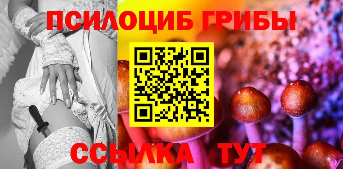 Усть-Илимск  Галлюциногенные грибы Psilocybe  Вход с VPN 